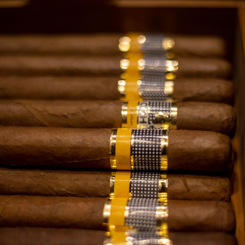 Cigars in Humidor